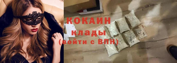 кокс Алексин