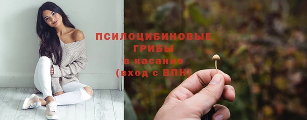 2c-b Алексеевка