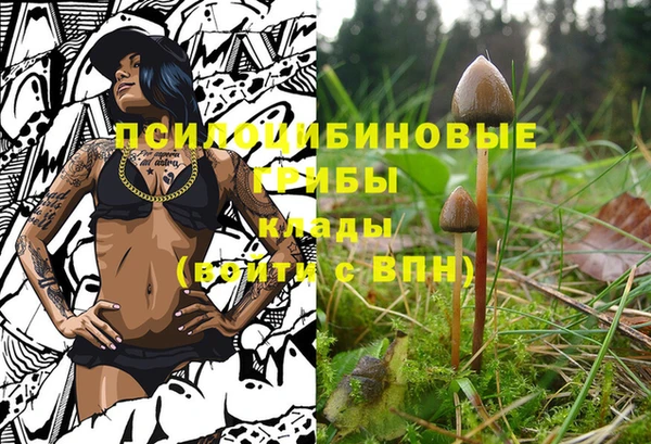 кокс Алексин