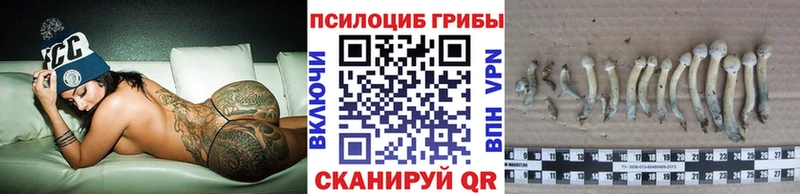 Псилоцибиновые грибы прущие грибы  Дзержинский 